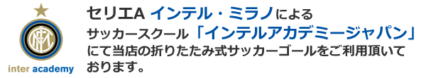 インテルアカデミージャパン