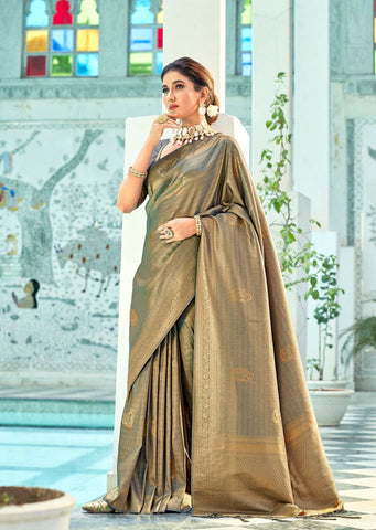 woman-in-grey-saree