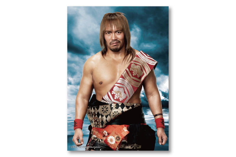 新日本プロレス 内藤哲也 カードセット | www.chicshabu.com