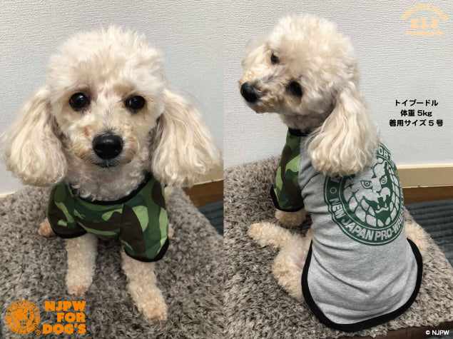 さです オーダー専用犬服*マリブフライスBdラグラン半袖Tシャツ ⑮いを