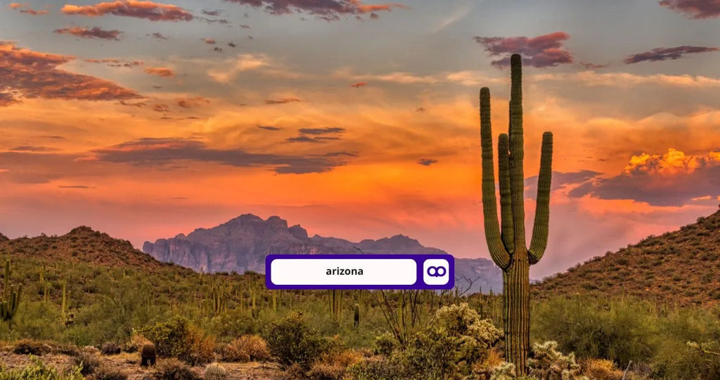 view of sonora desert at dusk