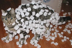 cat covered in packing peanuts packaging