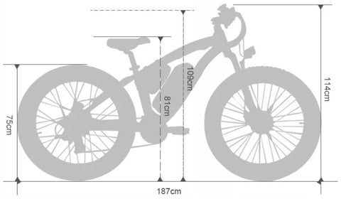 Eco-Flying Hybrid 26Inch Electric Bike