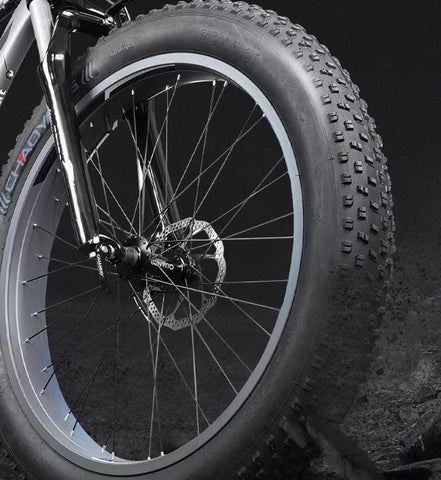 electric bike tires