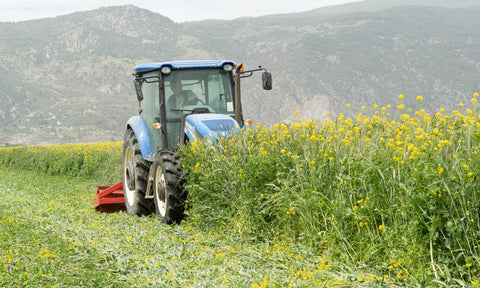 regenerative farming