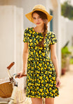 Short Fitted Fit-and-Flare Short Sleeves Sleeves General Print Evening Dress