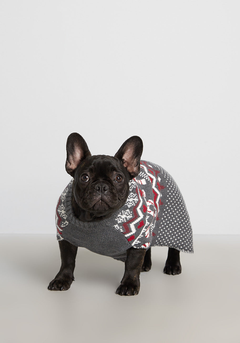 Candy Cane Crossroads Fair Isle Pet Sweater