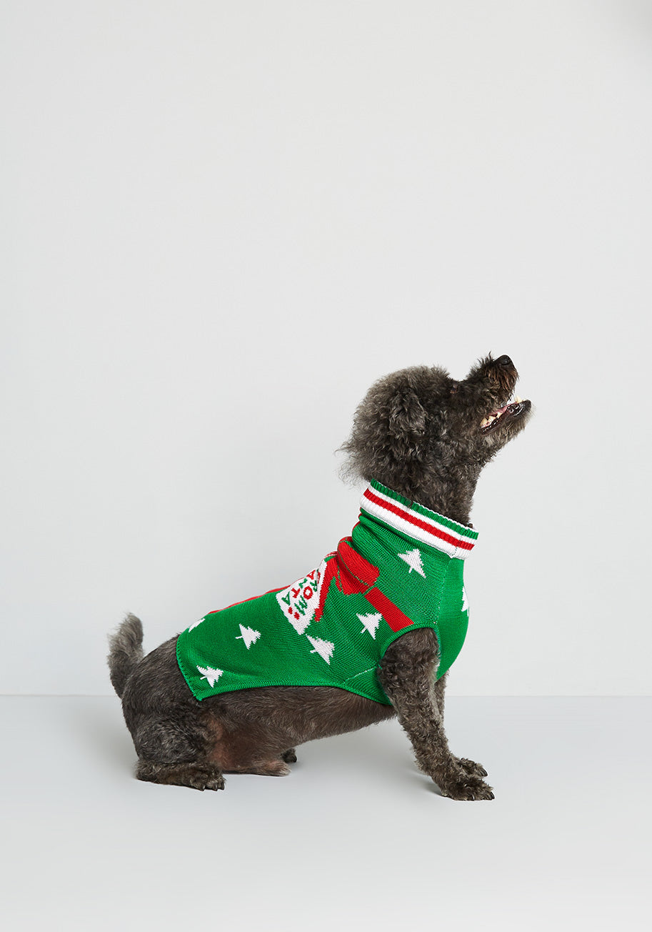 The Best Present Pet Sweater