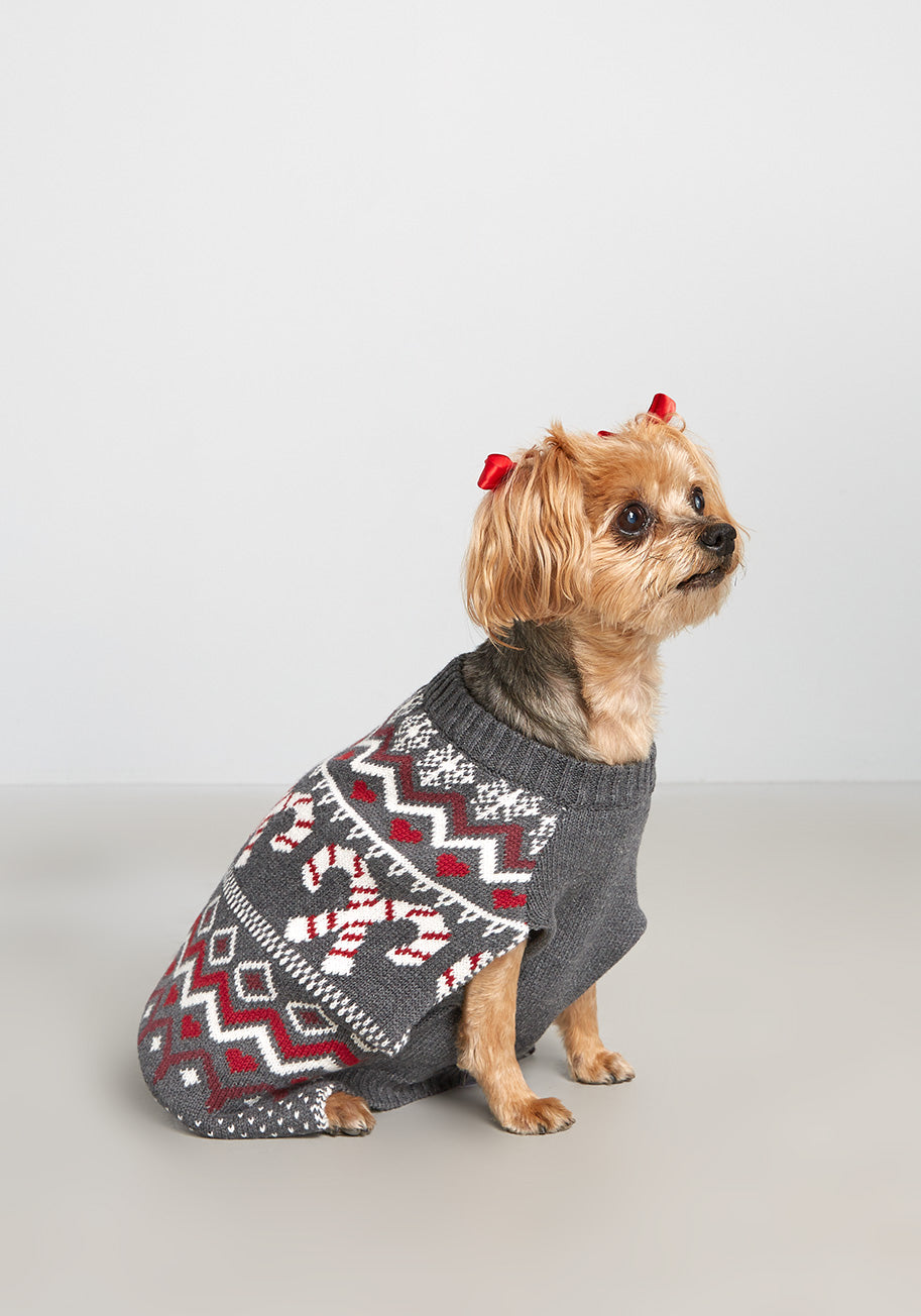 Candy Cane Crossroads Fair Isle Pet Sweater