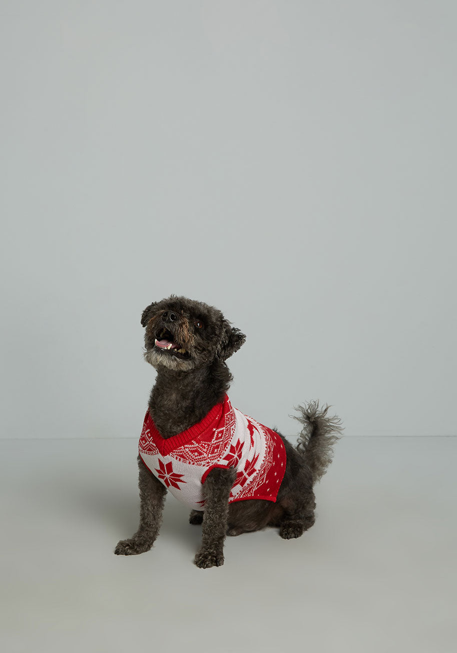 Get Your Holly Jollies Pet Sweater