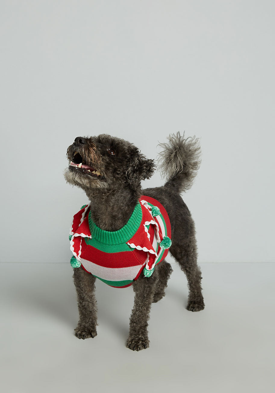 Santa's Favorite Elf Pet Sweater