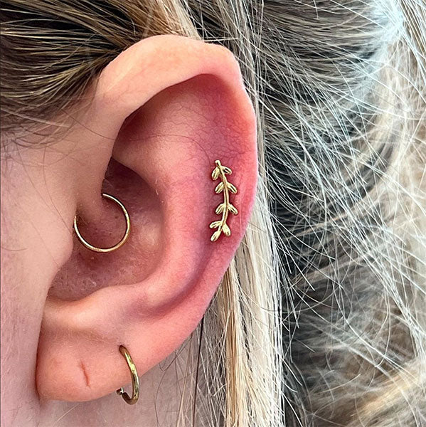  daith plain gold ring