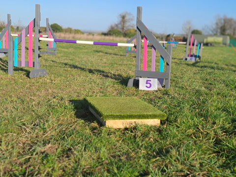 Place Board used in Dog Agility in class near Cambridge as canine conditioning platform