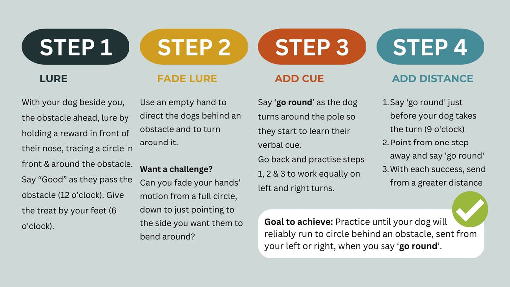 4 stages of teaching go round