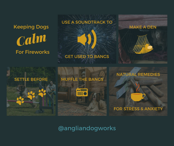 Anglian Dog Works Advice for Fireworks 