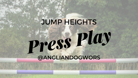 Dog Agility Jump Heights 