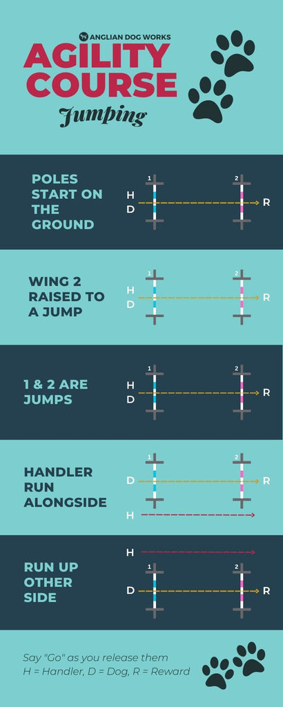 Week 1 Infographic how we introduce the jumps and train the GO cue