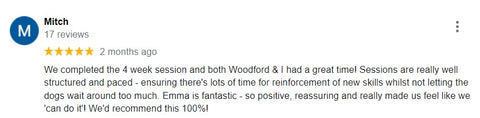 Woodford's Review