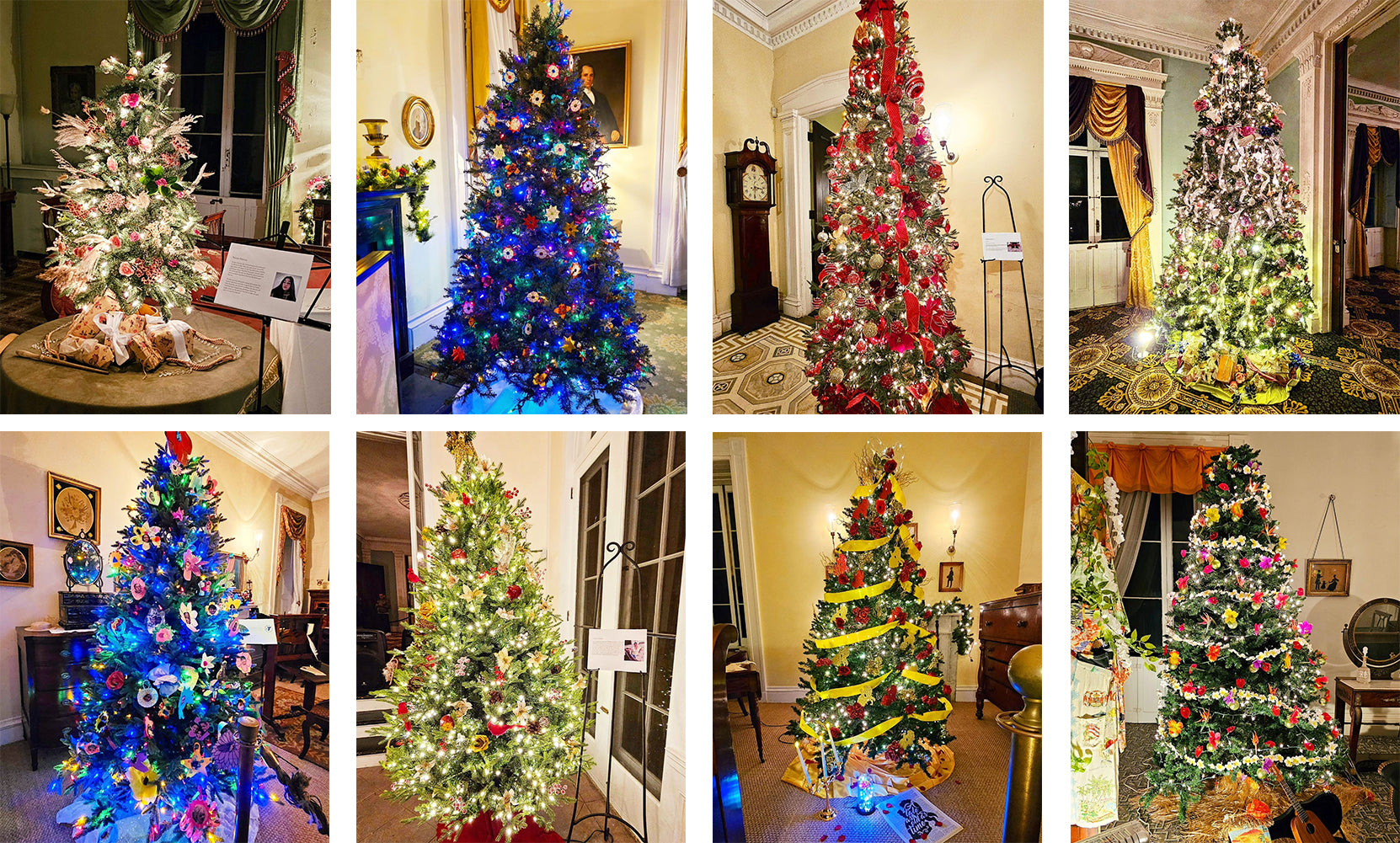 Bartow-Pell Mansion "Holiday Lights" Christmas Trees