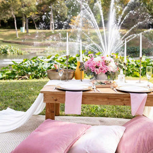 Picnic Setup for Two – Not Your Average Picnic