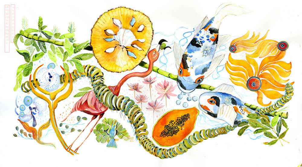 Koi fish, botanical illustration, botanical gardens, Artist illustrations, food illustrator, botanical illustrators, freelance illustrator, hire an illustrator, recipe illustration, surface design illustrator, watercolor artist, ethereal, atmospheric, marketing illustrations, editorial illustrations