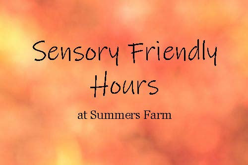 Sensory Friendly Hours