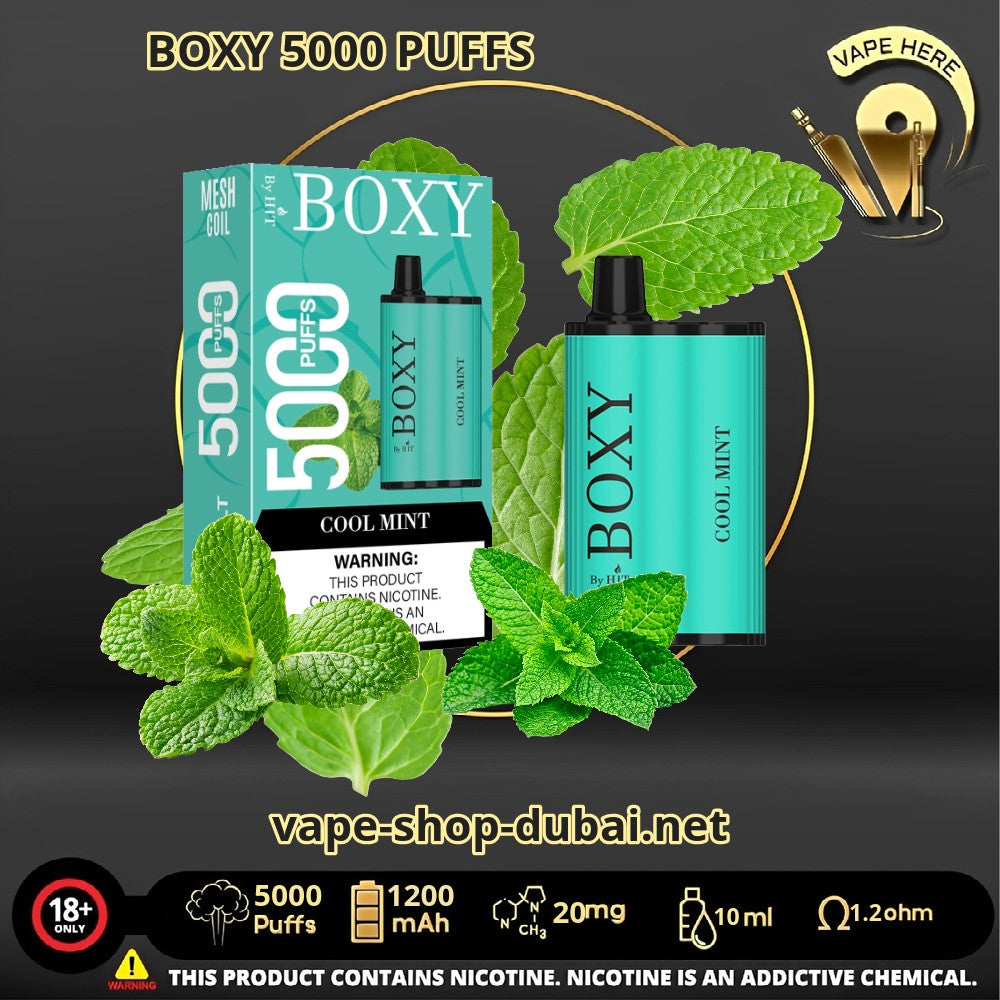 BOXY 5000 PUFFS DISPOSABLE VAPE Cool Mit