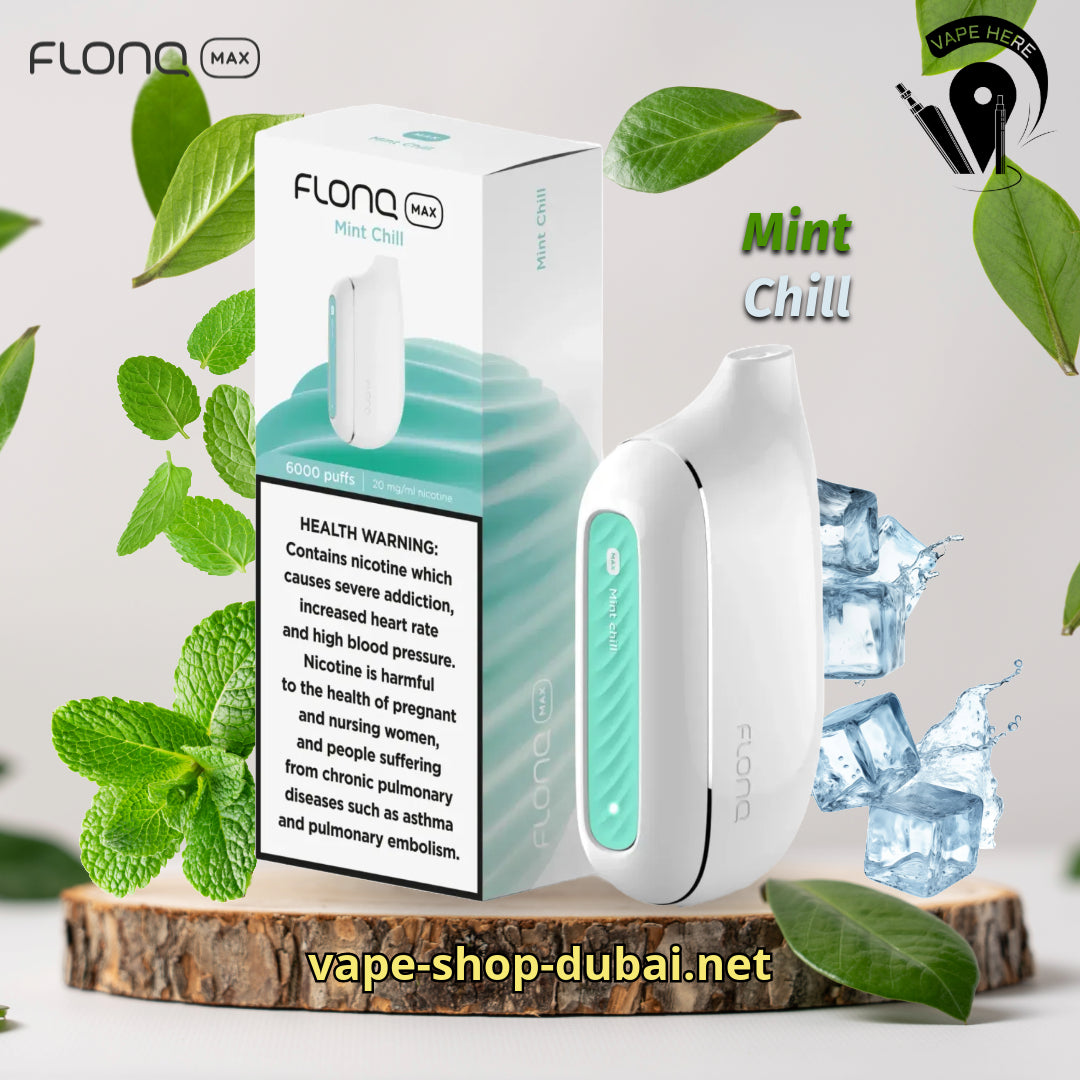 Flonq Max 6000 Puffs Disposable Vape Mint Chill UAE Al Ain