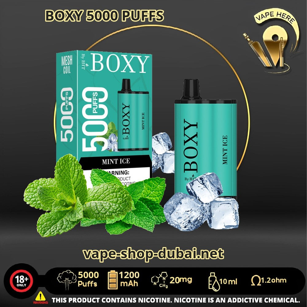 BOXY 5000 PUFFS DISPOSABLE VAPE Mint