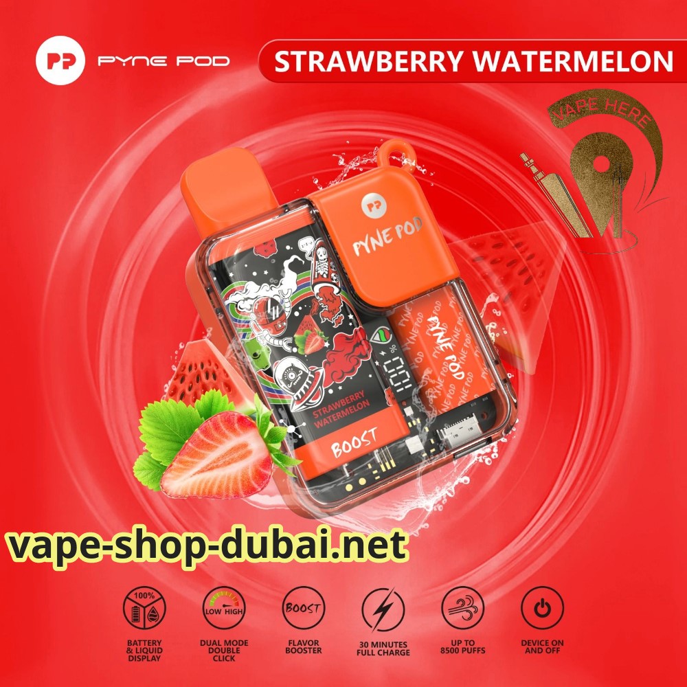 PYNE POD 8500 PUFFS DISPOSABLE VAPE UAE Dubai