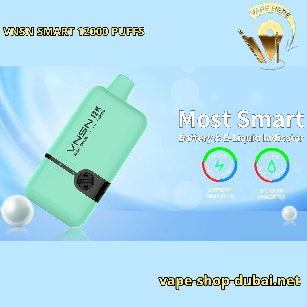 VNSN SMART 12000 PUFFS DISPOSABLE VAPE UAE Dubai