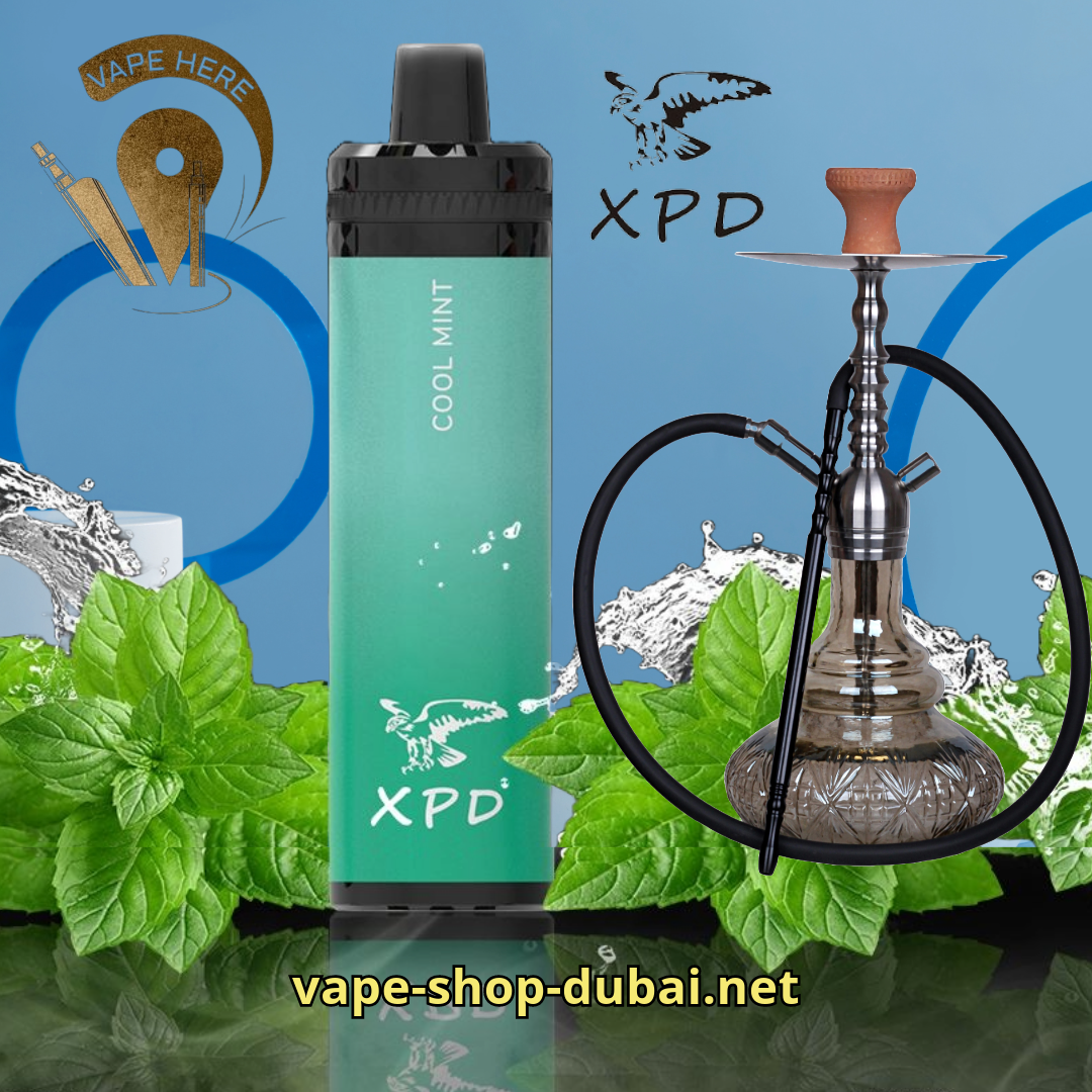 XPD R-SHISHA 10000 DISPOSABLE VAPE