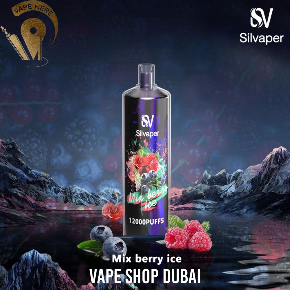 SILVA ROCK DISPOSABLE VAPE DTL 12000 PUFFS UAE Dubai