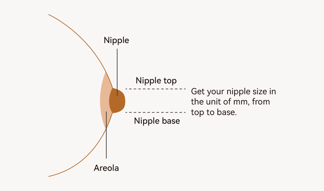 Nipple Ruler for Flange Sizing Measurement Tool,Breast Pump Size Flange Size  Measure for Nipples,Breast Pump Sizing Tool 