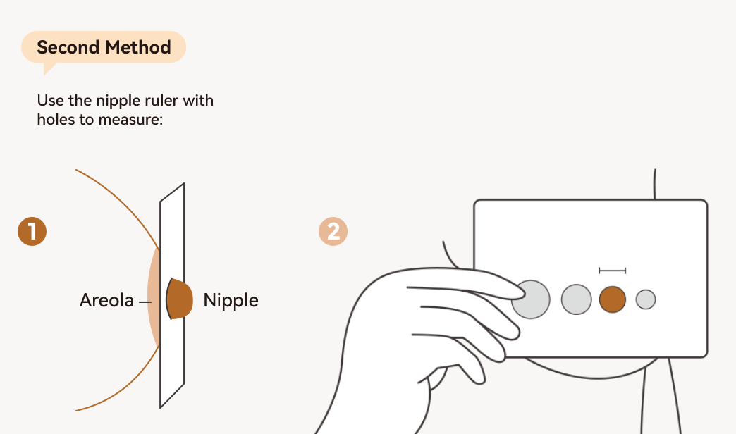 What's My Breast Size?, Flange Guide