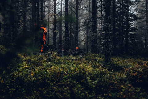hunters in orange are easily distinguished from the backdrop and surrounding wildlife in their bright orange clothing