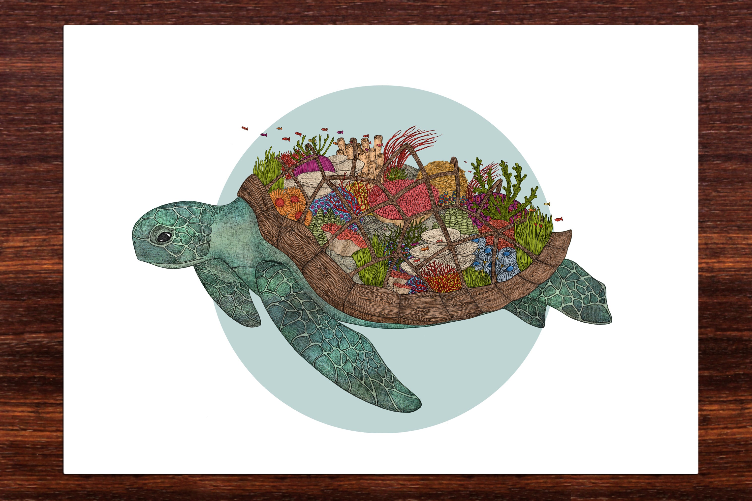 Colourful turtle art print