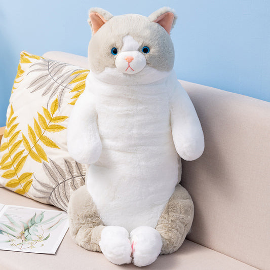 Big Eyes Cat Stuffed Toys – Big Squishies