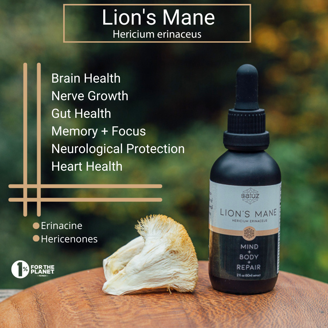 Lion's Mane (Brain) Mushroom Tincture 2 oz.