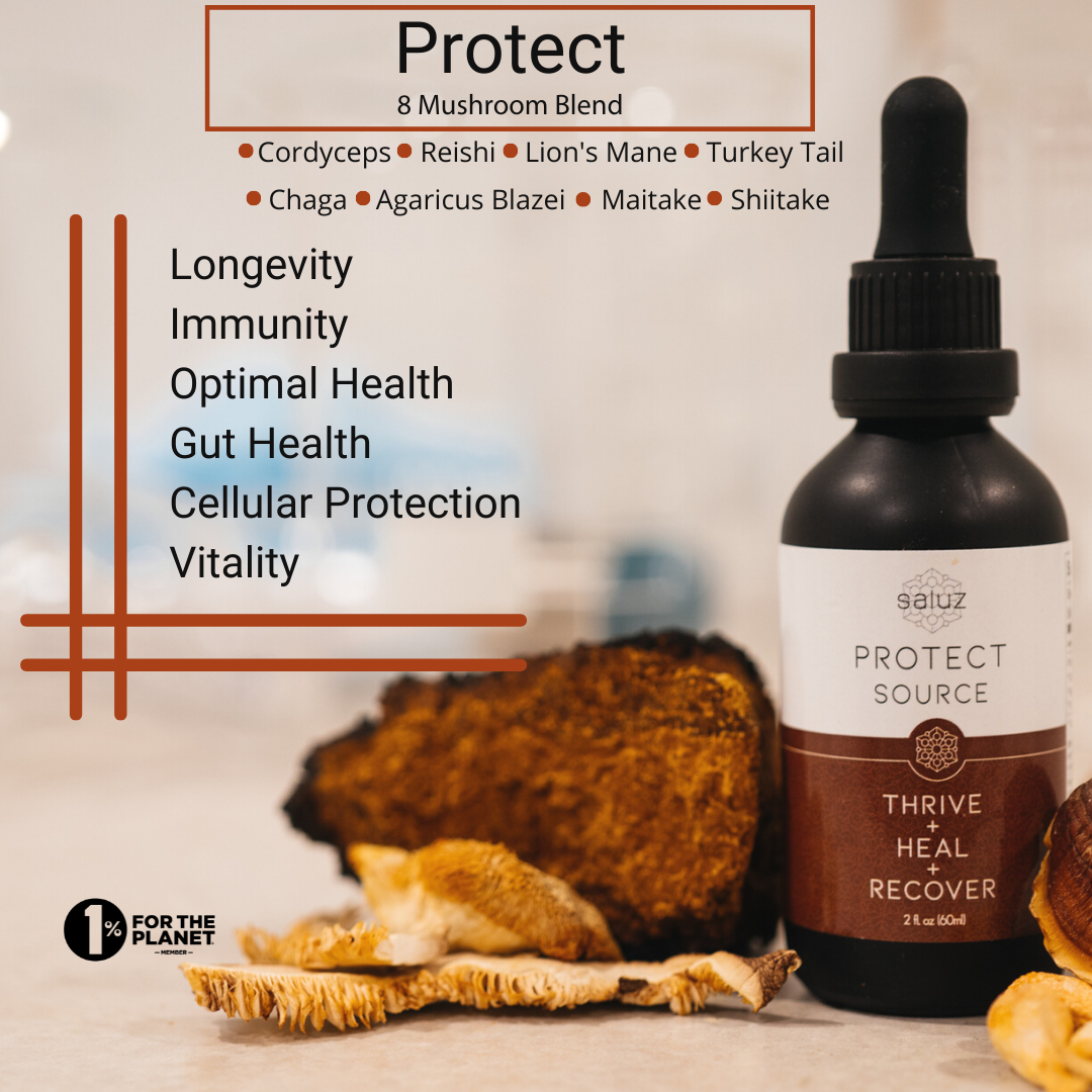 Protect 8 Mushroom Tincture 2 oz.