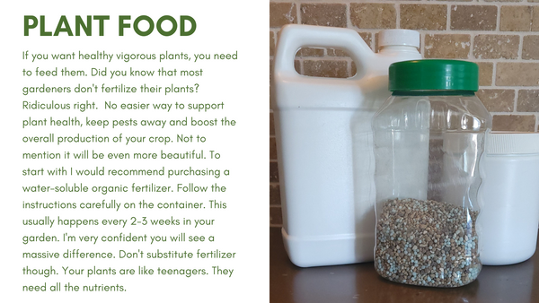 Tip 8 - Plant Food and proper fertilizing guide