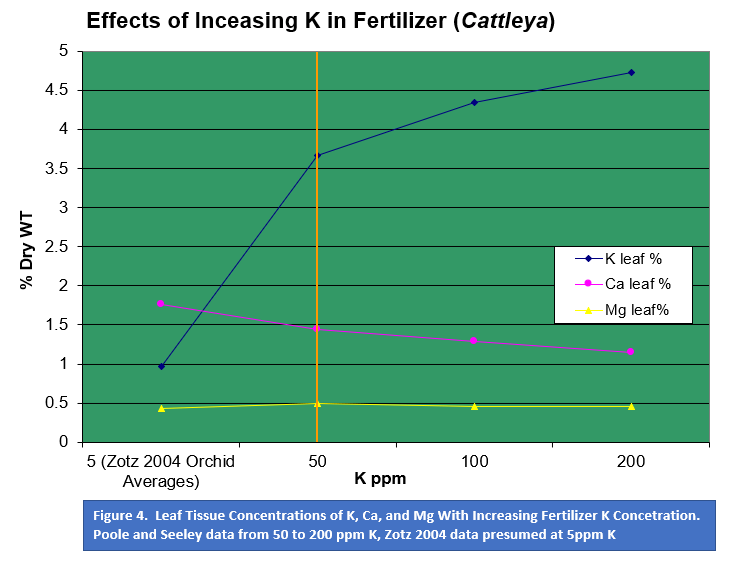 Effects of potassium in fertiliser (cattleya)