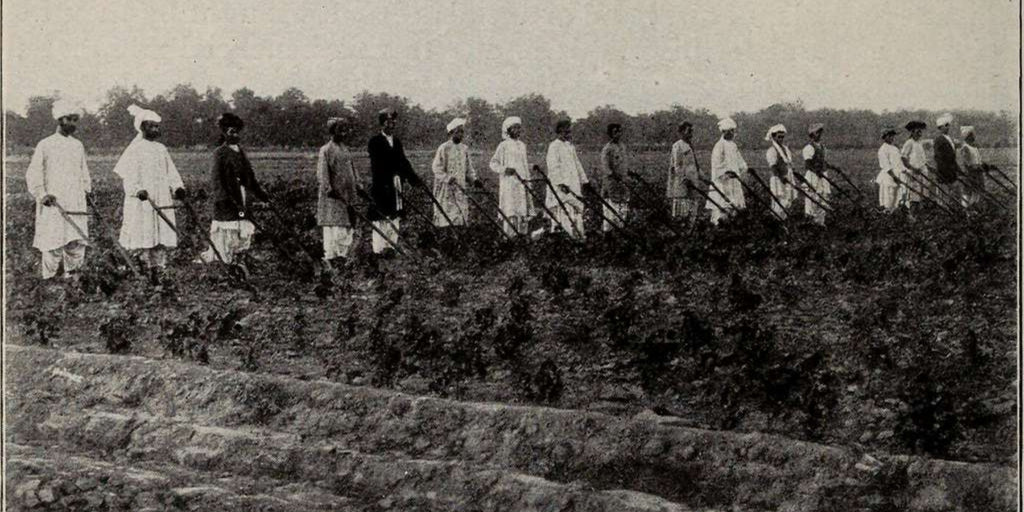 cotton farmers india 1900s