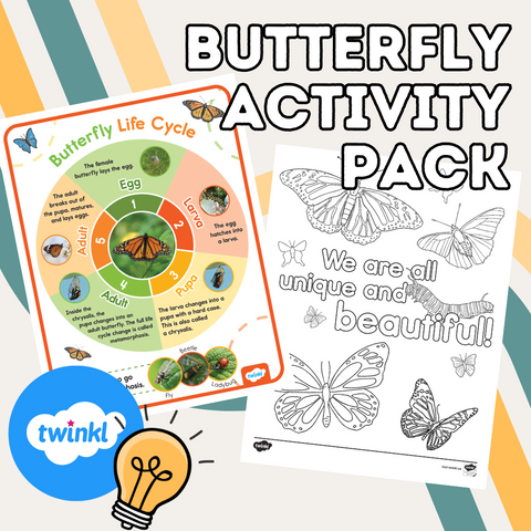 Butterfly activity pack