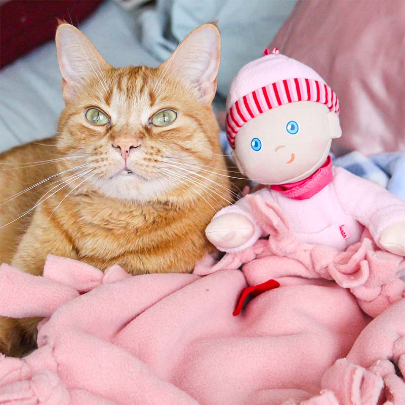 A cat is sitting next to a HABA soft Luisa Doll.