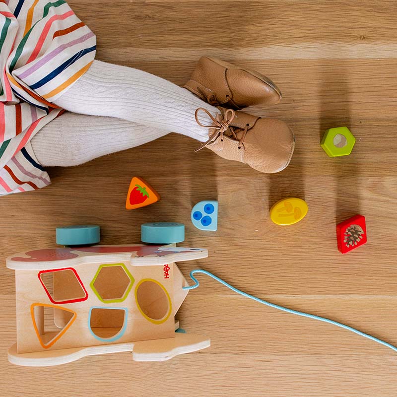 A Squirrel Sorting toy is sitting on the floor.