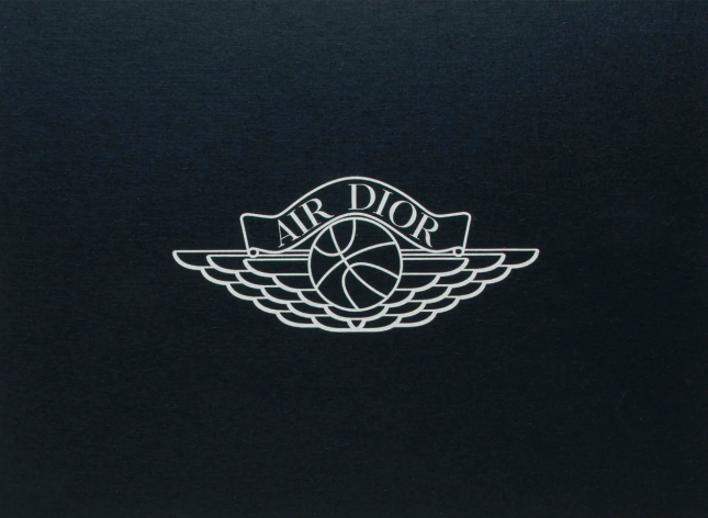 dior jordan logo