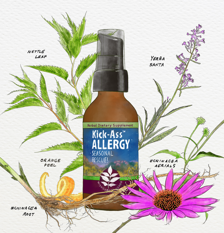 Kick-ass Allergy Illustration