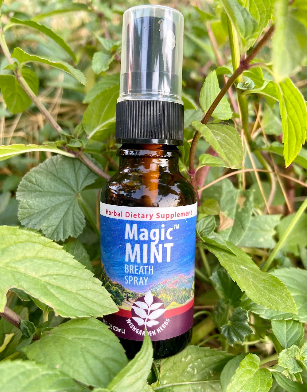 WishGarden Herbs Magic Mint Breath Spray