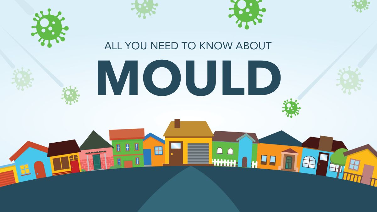 All about mould